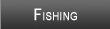 Kentucky Lake Fishing